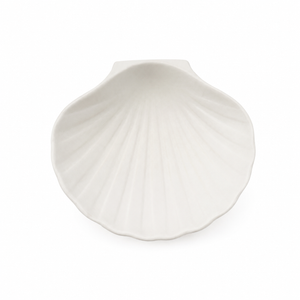 Coquilles minérales pour Saint-Jacques - Carton de 192
