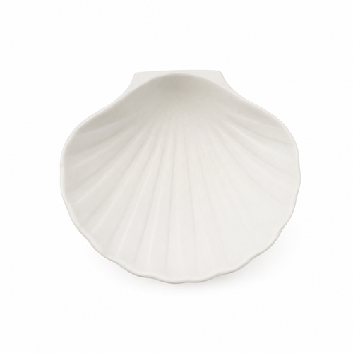 Coquilles minérales pour Saint-Jacques - Carton de 192