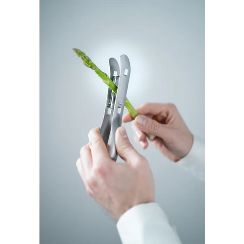 Éplucheur à asperges professionnel double lame