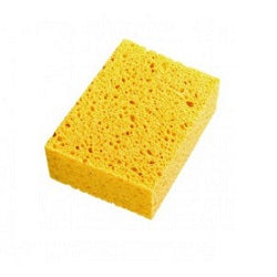 Eponge végétale