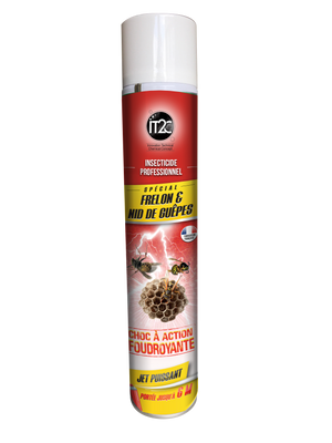 Insecticide Frelon & Nid de Guêpes Longue Portée – Aérosol 750 ml