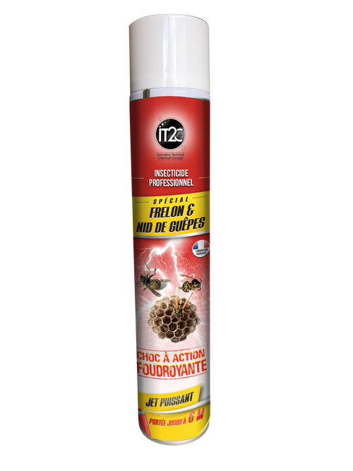Insecticide Frelon & Nid de Guêpes Longue Portée – Aérosol 750 ml